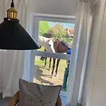 Im Alten Pferdestall