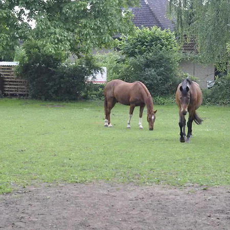 Im Alten Pferdestall Apartament